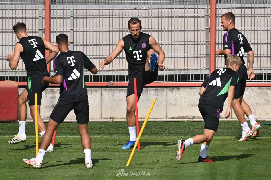 汉森林的惊 汉森林的惊